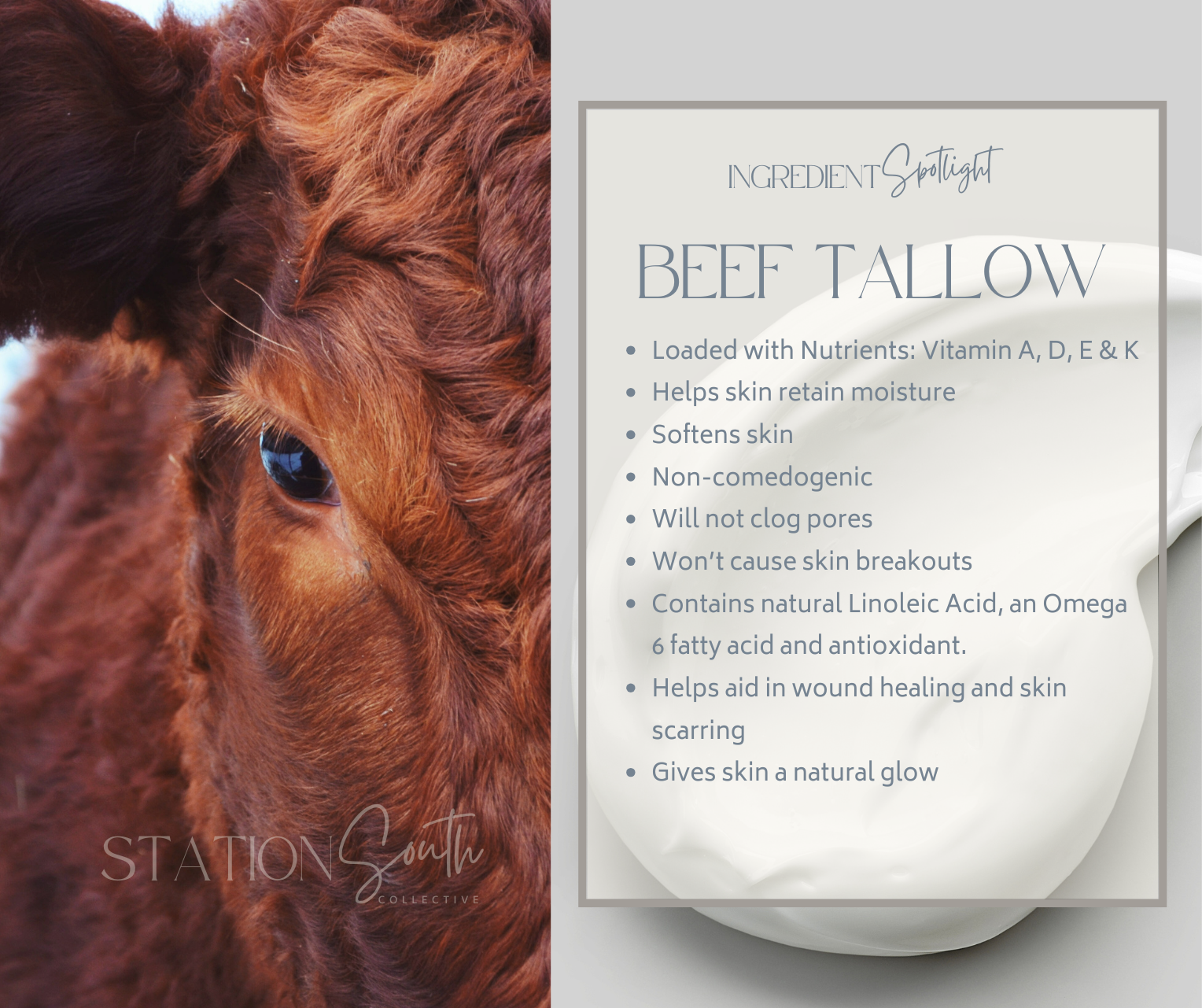 BEEF TALLOW