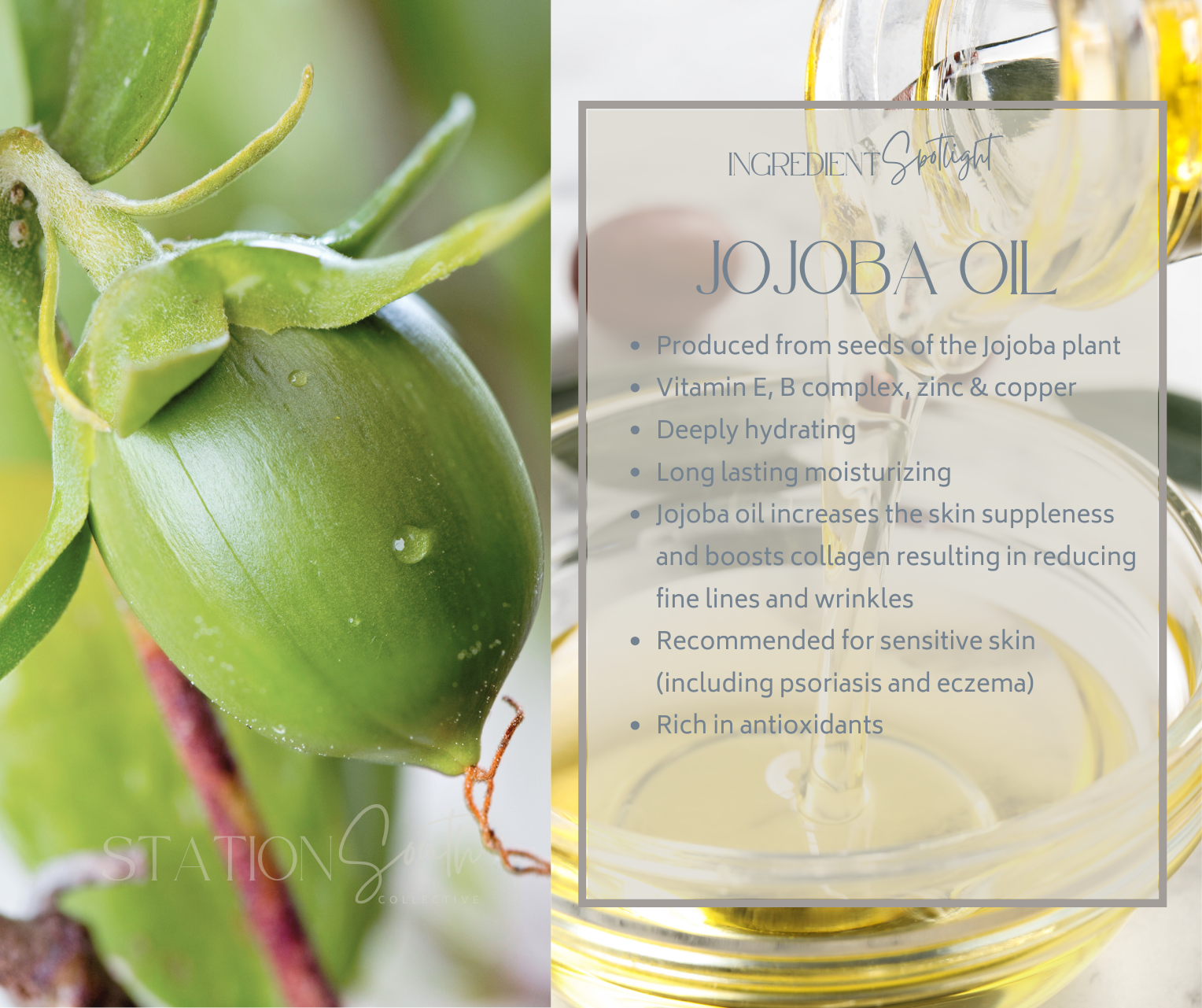 JOJOBA OIL
