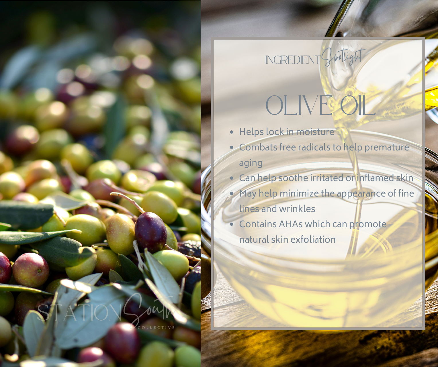 OLIVE OIL