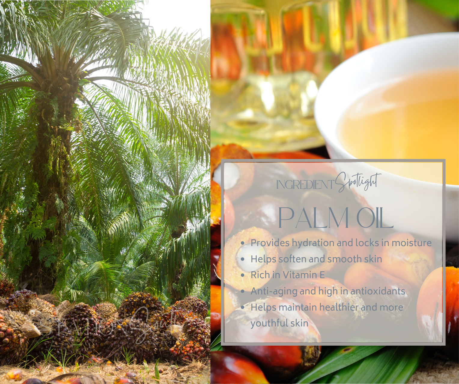 PALM OIL