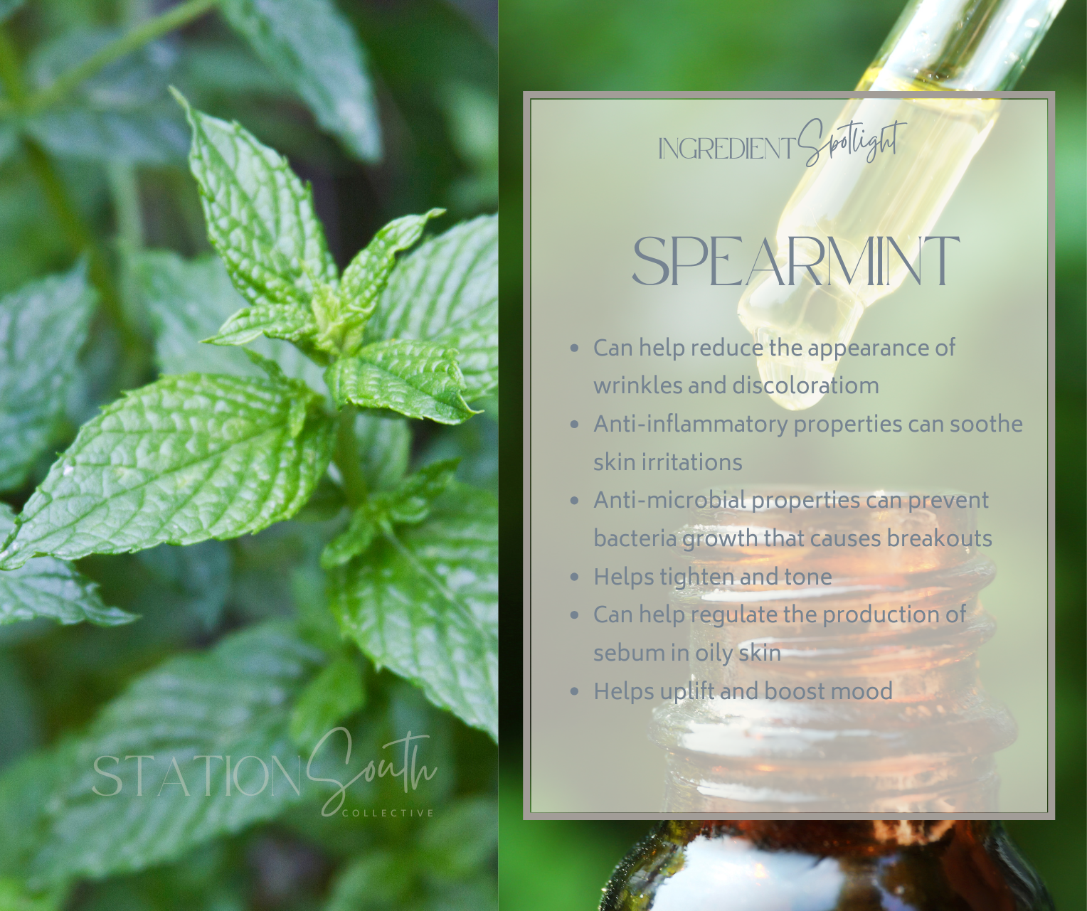 SPEARMINT