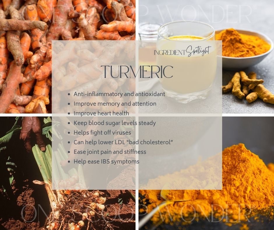 Turmeric as a functional wellness ingredient in ONE SCOOP WONDER Whole Body Wellness Blend by Station South Collective