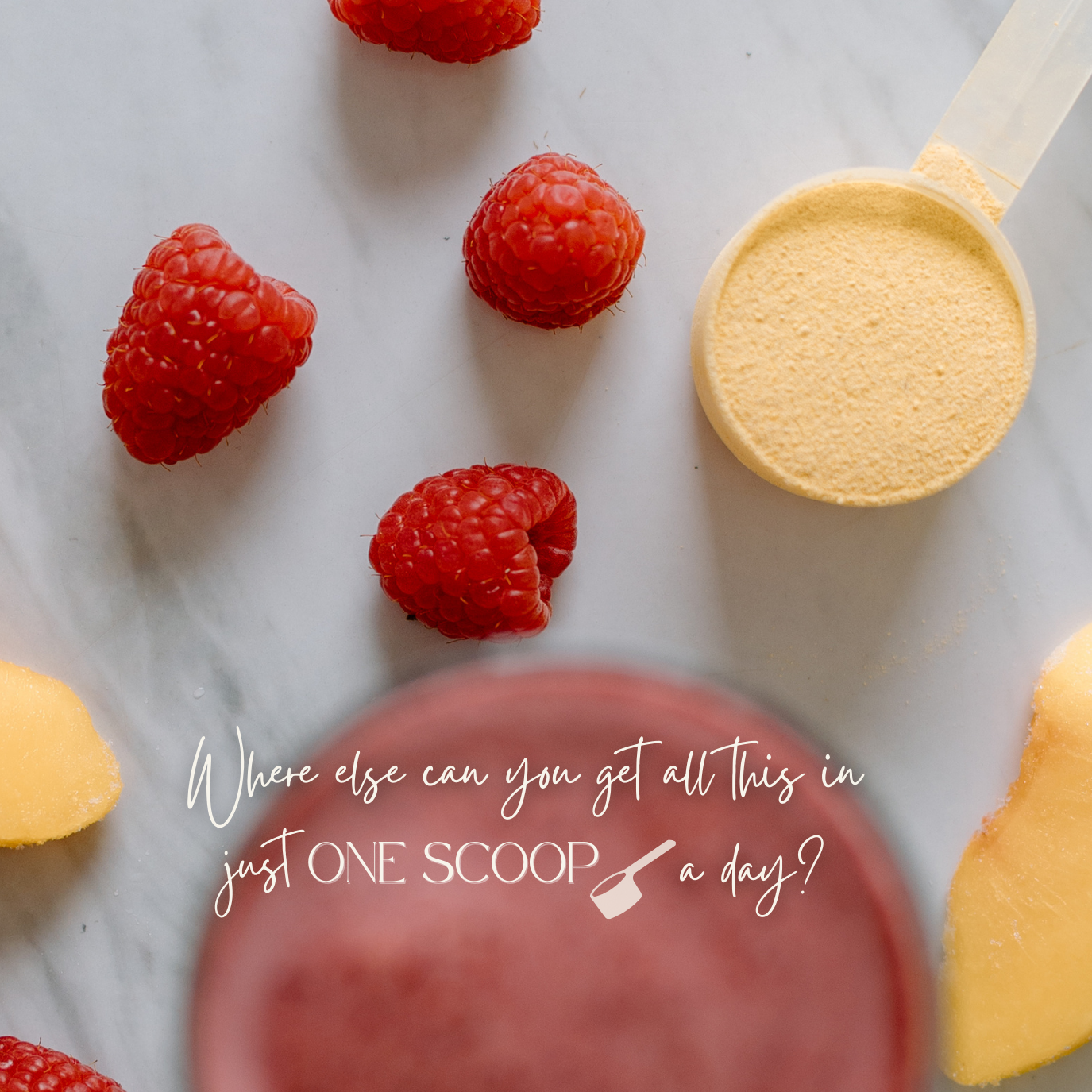 The Southerner-ONE SCOOP WONDER® Collagen +