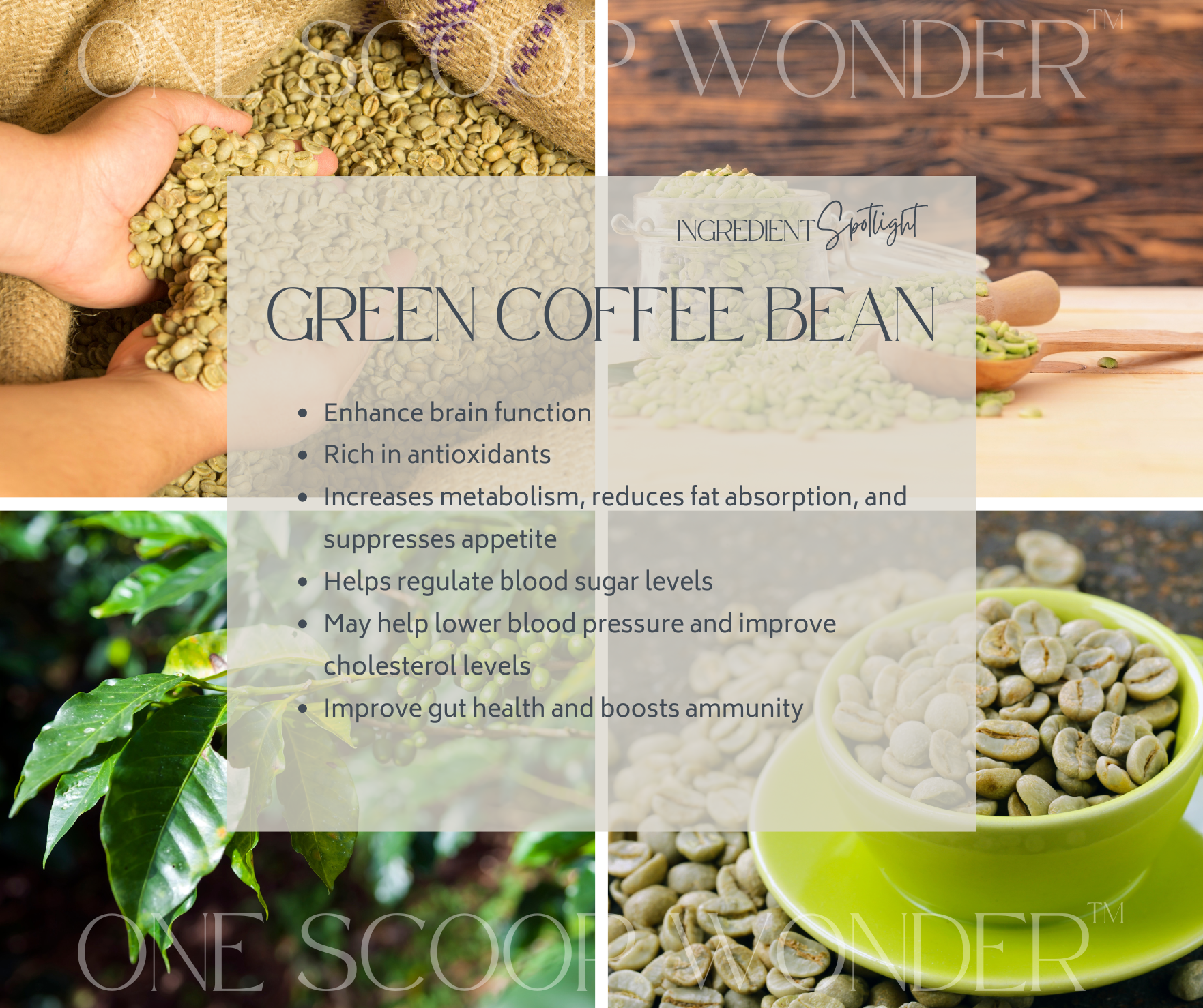 Green Coffee Bean