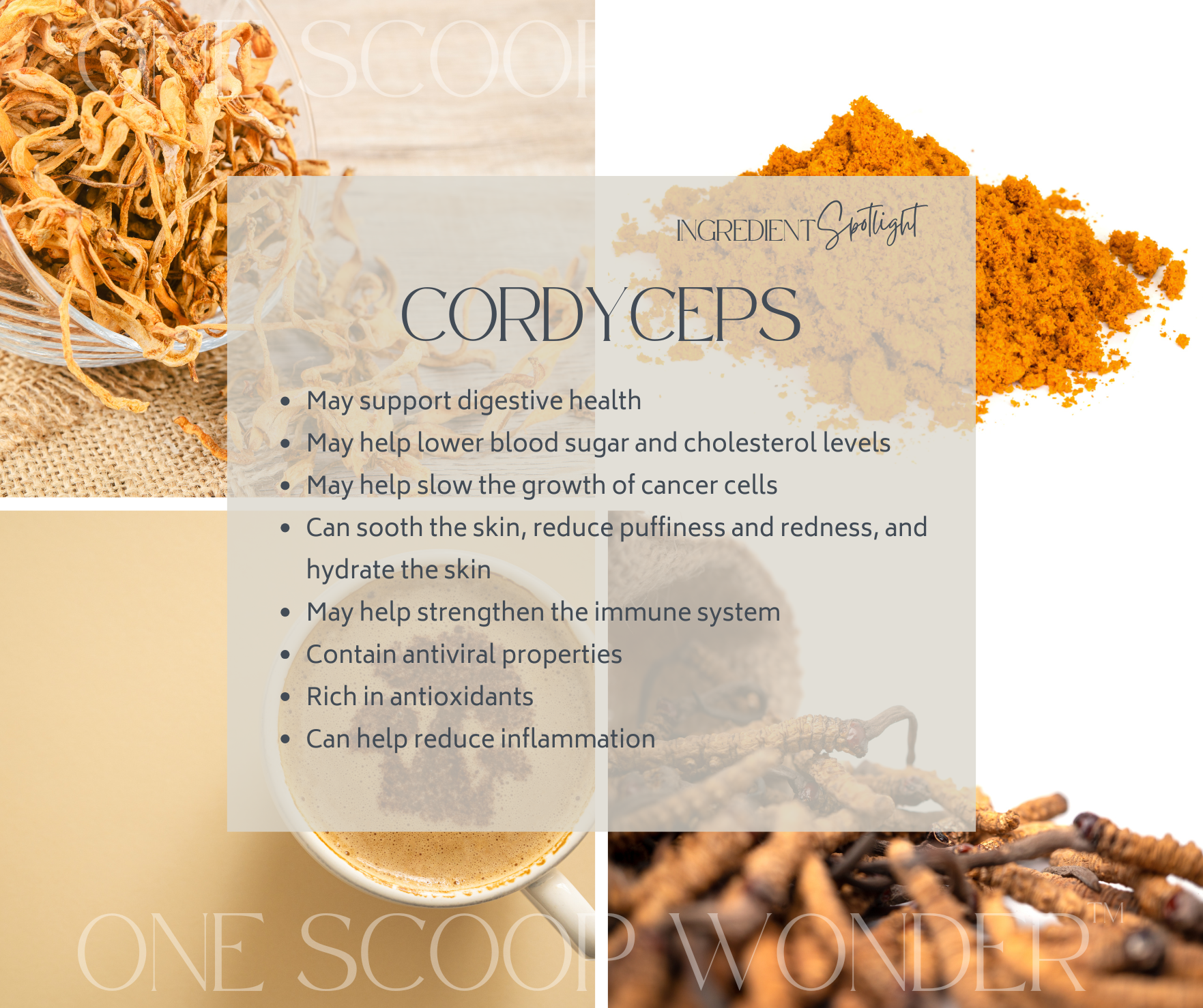 Cordycepts