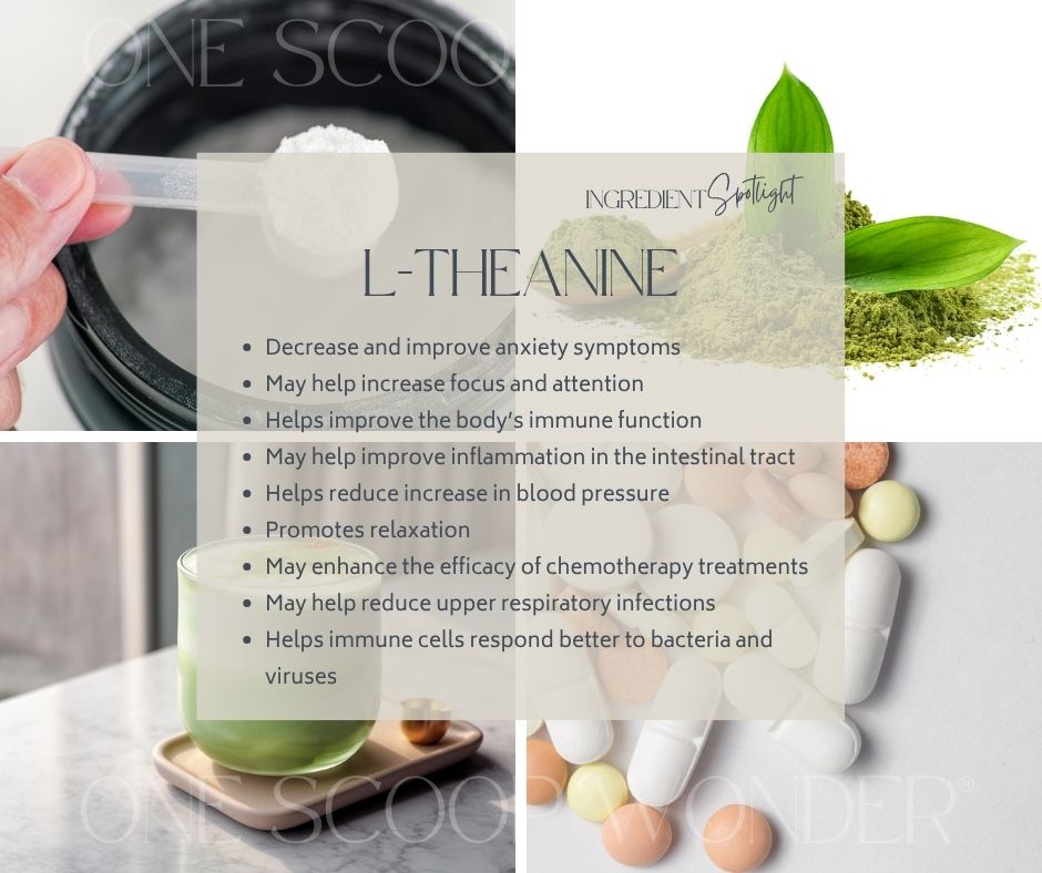 L-theanine ingredient for smooth balanced energy in ONE SCOOP WONDER Whole Body Wellness Blend