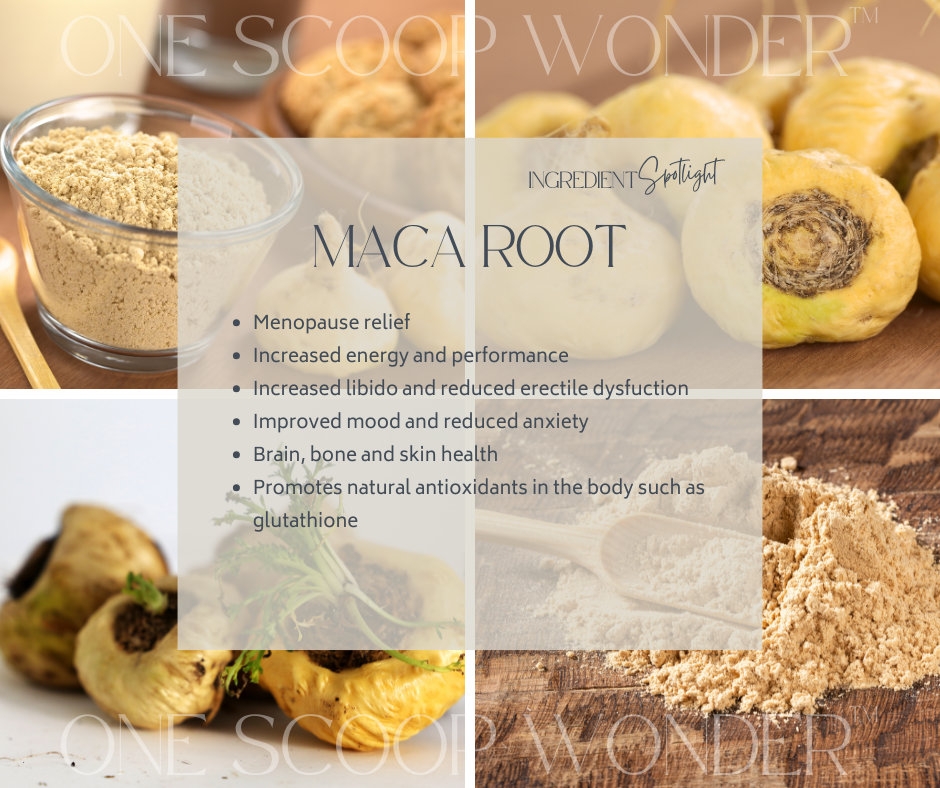 MACA ROOT
