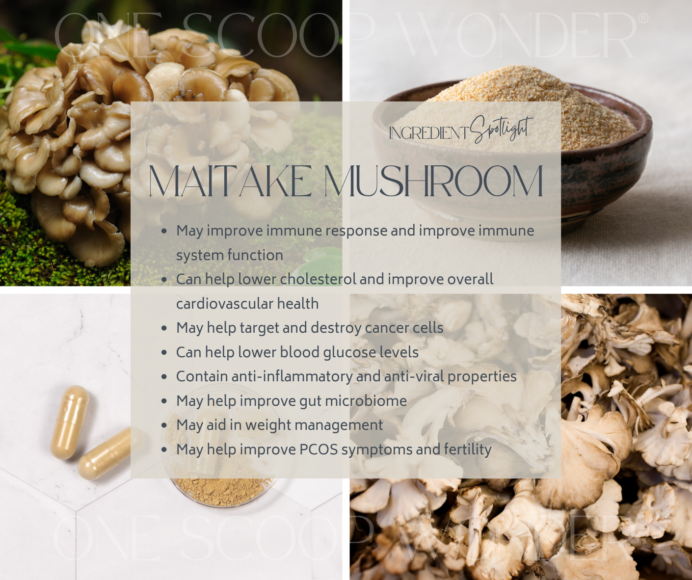 Five functional mushrooms Chaga Lions Mane Turkey Tail Maitake and Reishi in ONE SCOOP WONDER Whole Body Wellness Blend