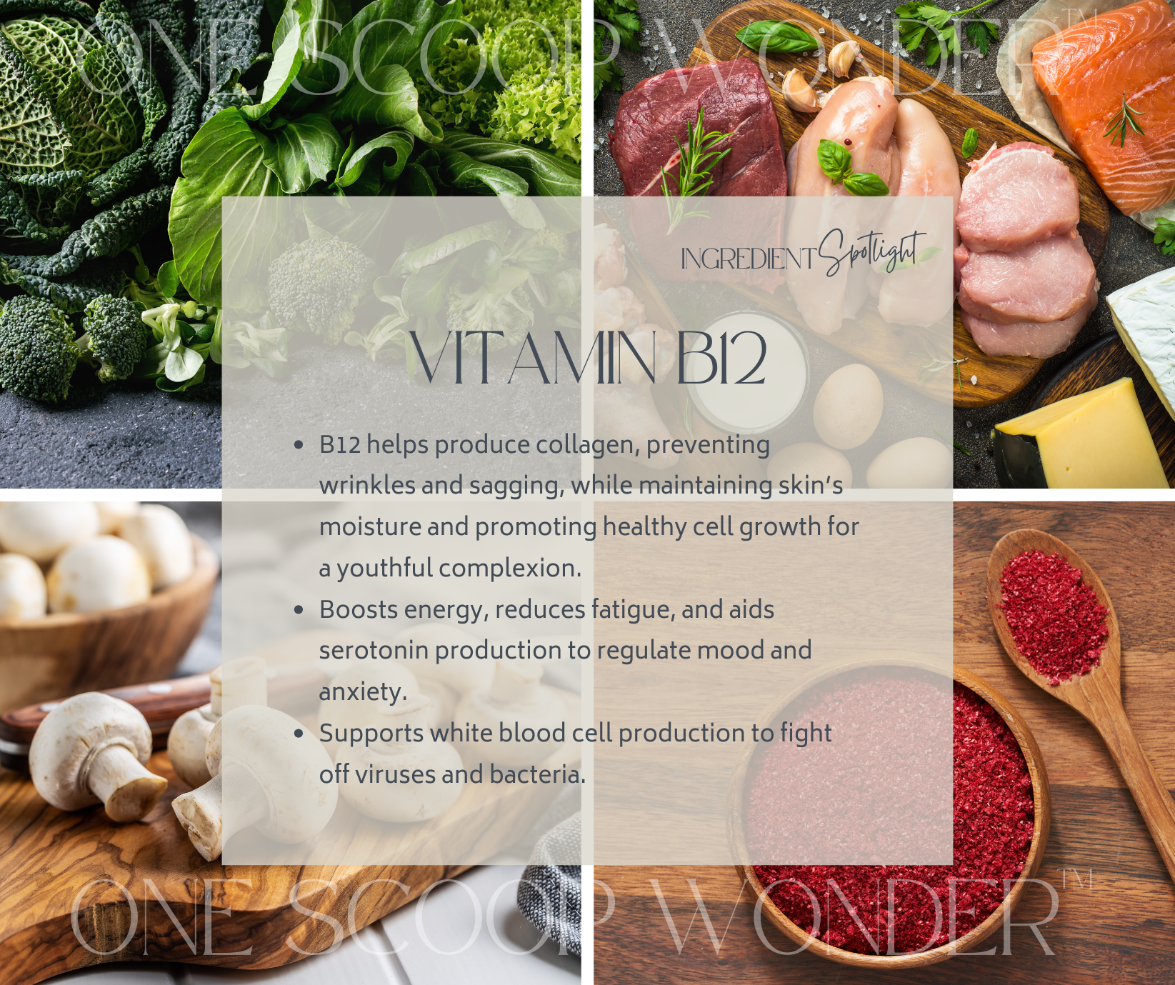 Vitamin B12